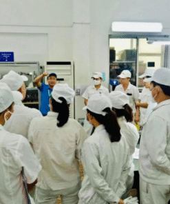 ĐÀO TẠO HIỆU CHUẨN NỘI BỘ CÁC LĨNH VỰC